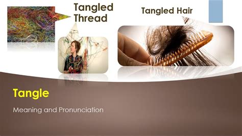 Tangle Meaning and Example Sentences - YouTube