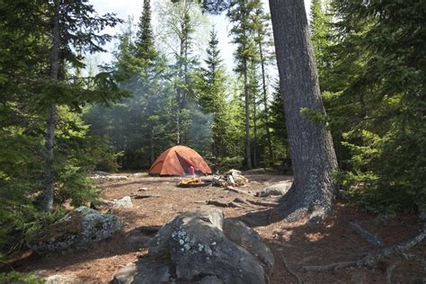 Keeping Your Campsite Protected Against Wild Animals | Nite Guard