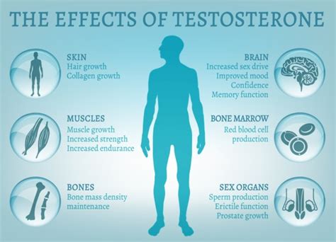 Tell-Tale Signs of Low Testosterone - Focal Point Vitality