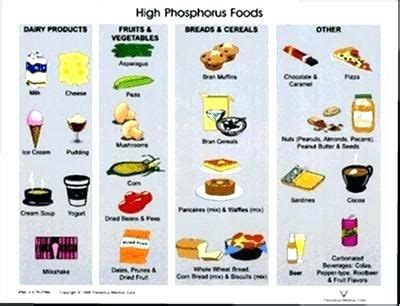 Dialysis Food List Printable