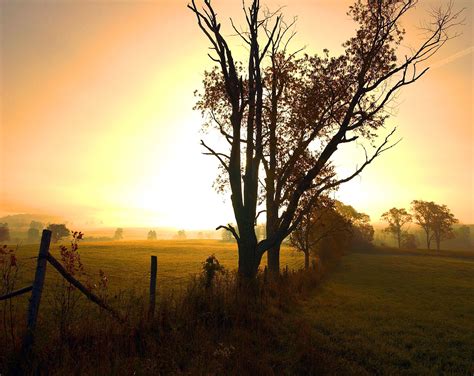 Canaan Valley State Park #GoToWv | Canaan valley, West virginia tourism ...