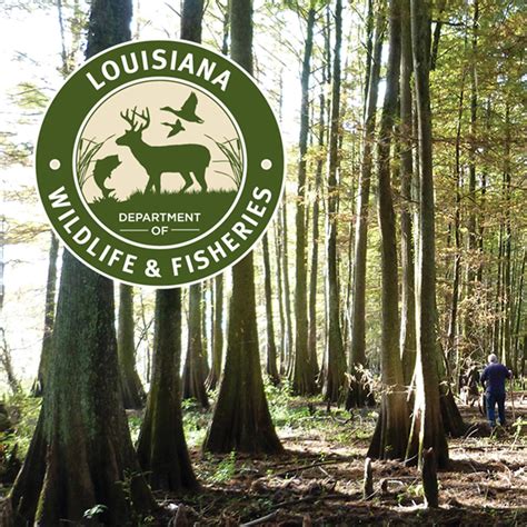 Louisiana Department of Wildlife & Fisheries Named NDA Agency of the Year