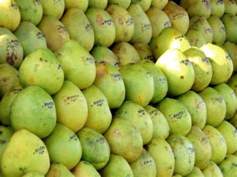 Suha or Philippine Pomelo - very sweet, pink inside and juicy variety ...