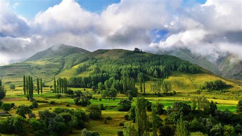 Fonds d'ecran Forêts Photographie de paysage Colline Nuage Arbres Nature télécharger photo