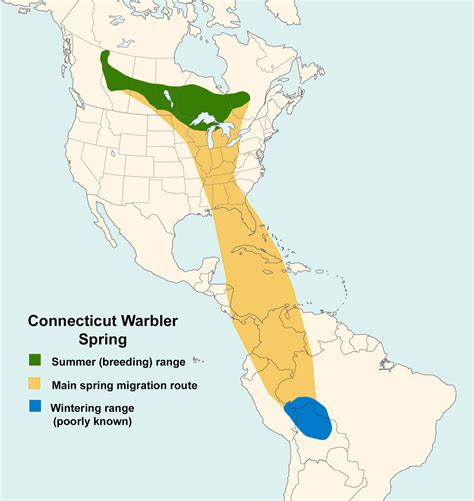 Blackpoll Warbler Migration Map