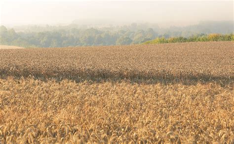 Agricultural Powerhouse Heading for “Sustainable Agriculture” France ...