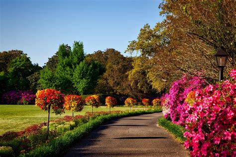 Bellingrath Gardens landscape in Alabama image - Free stock photo - Public Domain photo - CC0 Images