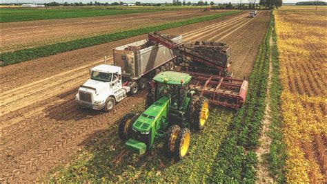 2018 SUGAR BEET HARVEST!! Michigan | Amity Harvester | #Farming - YouTube