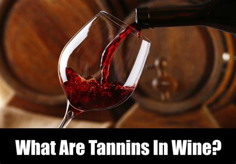 What are Tannins? - The Wine Shoppe at Green Hills