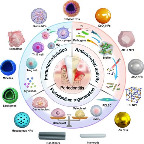 New insights into nanotherapeutics for periodontitis: a triple concerto of antimicrobial ...