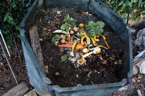 Municipal compost in Baltimore and beyond | Clean Water Action