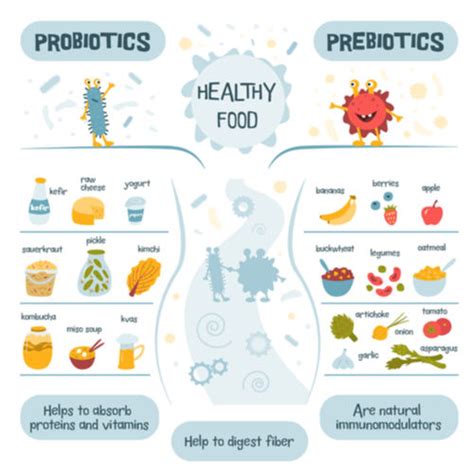 Probiotics Vs Prebiotics: Which Is The Better Food For Your Gut?