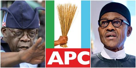 'Tinubu will break away from APC to float new political party' - Nigerian And World News