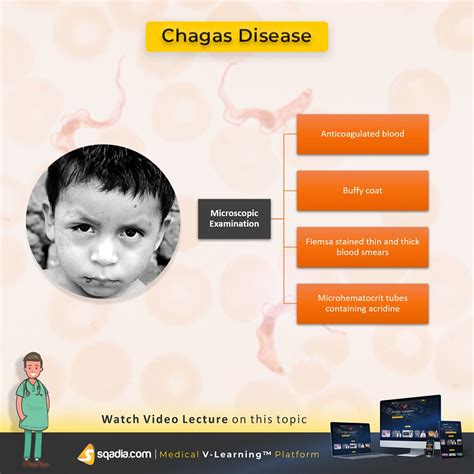 Chagas Disease | Disease, Medicine, Lecture