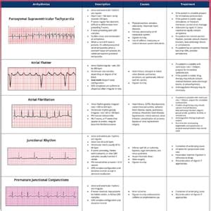 Basic EKG interpretation 3 pages long printable pdf | Etsy