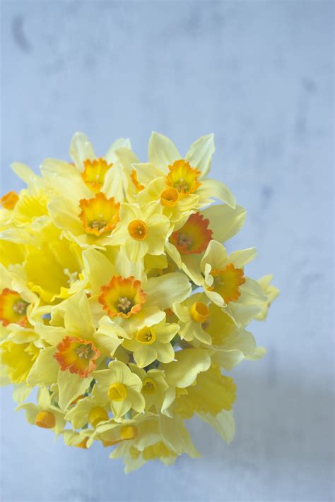 narcissus bouquet | Narcissus, Daffodils, Flower arrangements