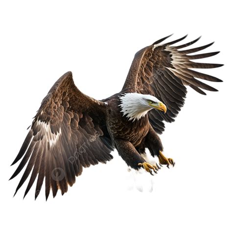 Flying Eagle Feather White Background Transparent, Cost, Feather, Wing PNG Transparent Image and ...