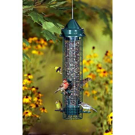 Brome Squirrel Buster Classic Squirrel Proof Bird Feeder – Backyard Bird Centre