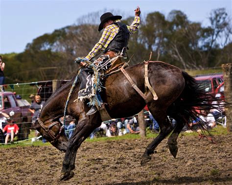 🔥 [46+] Rodeo Wallpapers Images | WallpaperSafari