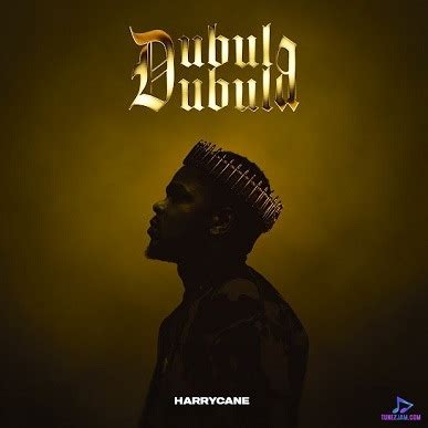 Harry Cane - Dubula (Remake) ft Master KG, Eemoh, DJ Latimmy Mp3 ...