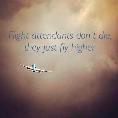 flight attendants on Tumblr