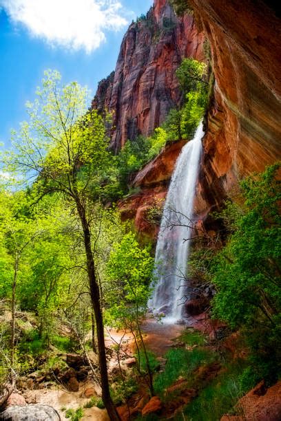 Zion National Park Waterfall Stock Photos, Pictures & Royalty-Free Images - iStock