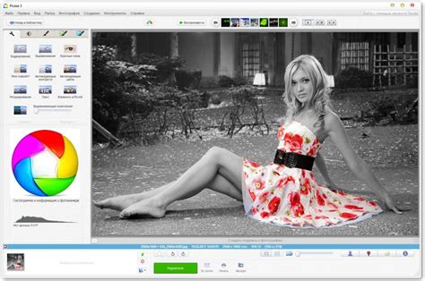 Picasa vs iPhoto vs Phototheca: Detailed Comparison of Photo Software