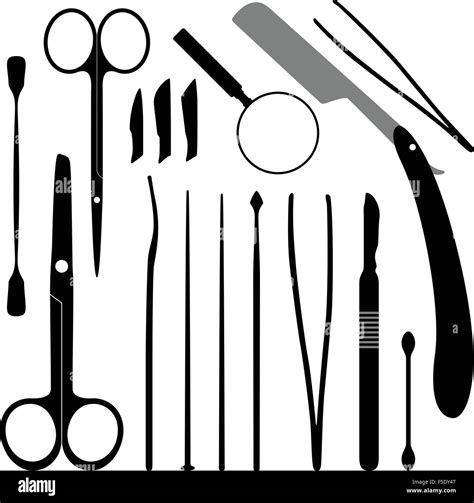 Dissection tools hi-res stock photography and images - Alamy