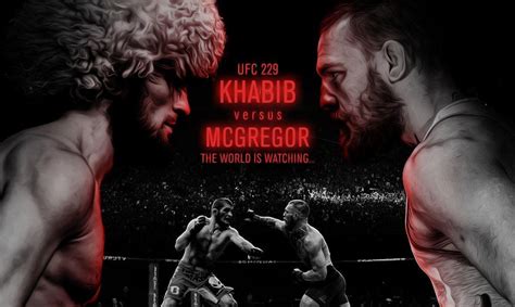 Khabib Wallpapers - Top Free Khabib Backgrounds - WallpaperAccess