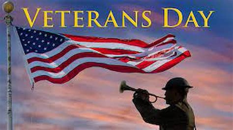 Veterans Day 2023: Date, History, Facts About Veterans In US - Eduvast.com