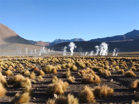 Geysers Del Tatio, Atacama Desert, Chile Stock Photo - Image of temperature, landscape: 123260492