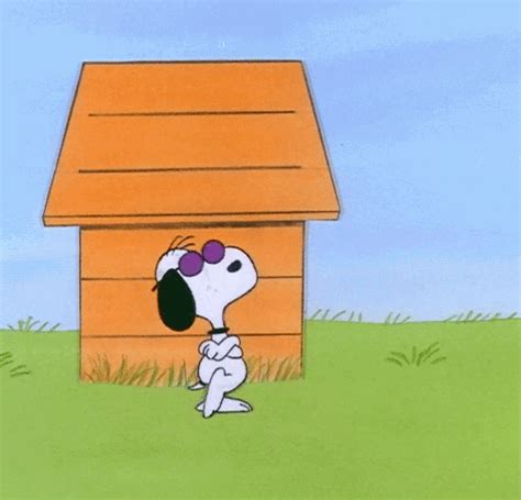 The Charlie Brown And Snoopy Show - Tumblr Gallery