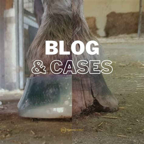 Horse Hoof Trimming - Beginners Guide