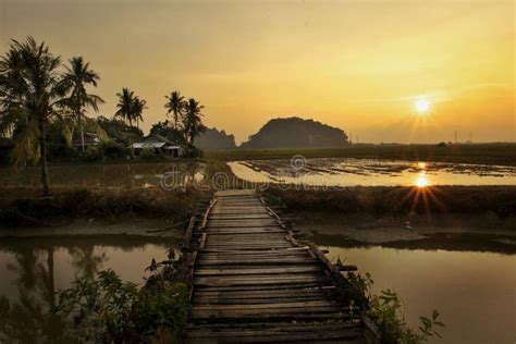 Landscape View Of Paddy Fields,small Village,mountain,bridge,river During Sunset Stock Photo ...