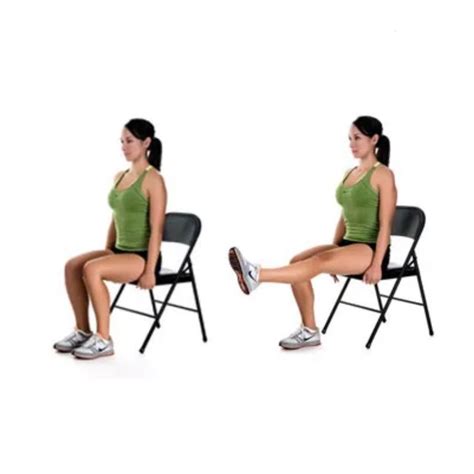 Seated Single Leg Extension by Ömer Köseoğlu - Exercise How-to - Skimble