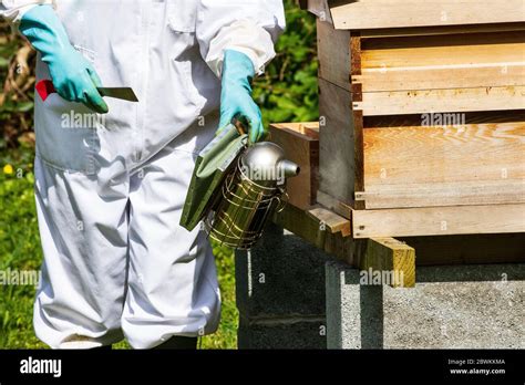 bee hive inspection Stock Photo - Alamy