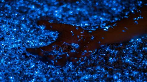 The Bioluminescent Bay of Laguna Grande in Puerto Rico · Travel Blog: Happiness & Things ...