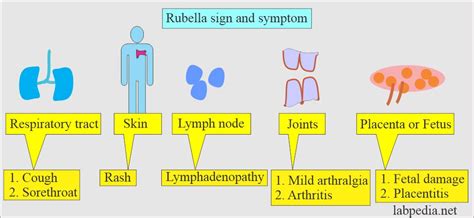 Rubella infection (German Measles), Rubella Antibody Tests - Labpedia.net