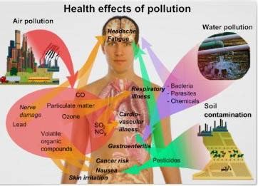 Air pollution in Latin America and its effect on our health and climate | Interamerican ...
