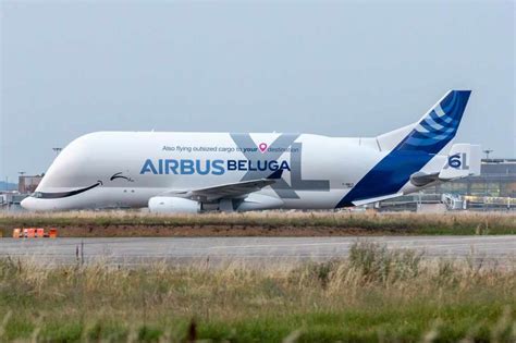 Airbus unveils sixth and final Beluga XL with special livery - Air Data News