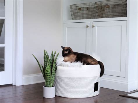 30 Unique DIY Cat Bed Ideas That Anyone Can Make - Blitsy