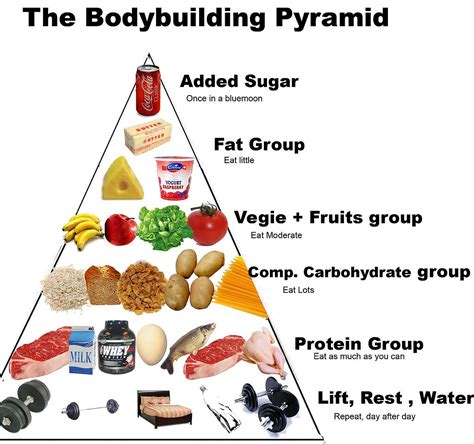 Alimentazione body building