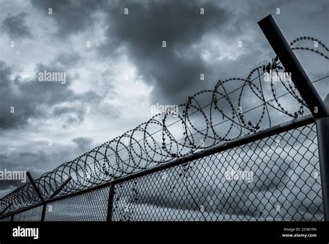 Prison security fence. Barbed wire security fence. Razor wire jail ...