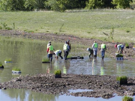 Ecological Restoration - Environment Blog