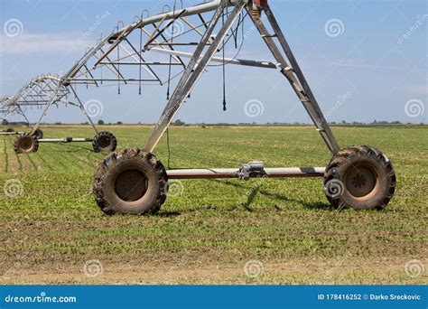 Sprinkler Irrigation System on Agriculture Field Stock Photo - Image of cultivated, summer ...