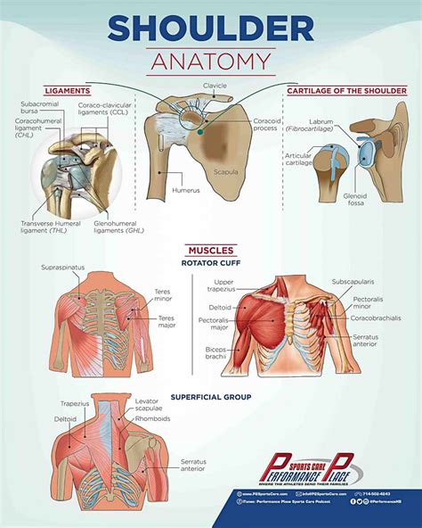 Shoulder Pain-Causes, Symptoms, Treatments