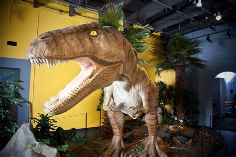 Red Dirt Dinos Return to Science Museum Oklahoma, Oct. 3 | Science Museum Oklahoma