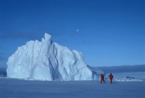 Icebergs in Antarctica