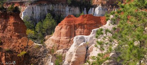 The Stunning Scenery of Providence Canyon – FanningSparks