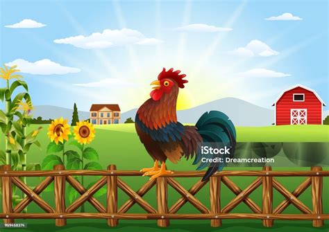 Lucu Kartun Ayam Berkokok Di Pagar Pertanian Ilustrasi Stok - Unduh ...